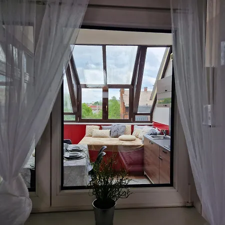 홈스테이 Bydlim U Areny