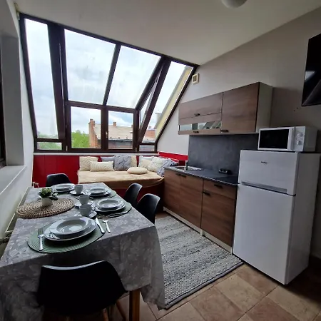 民宿 Bydlim U Areny *