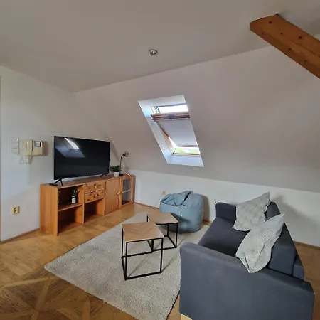 民宿 Bydlim U Areny *